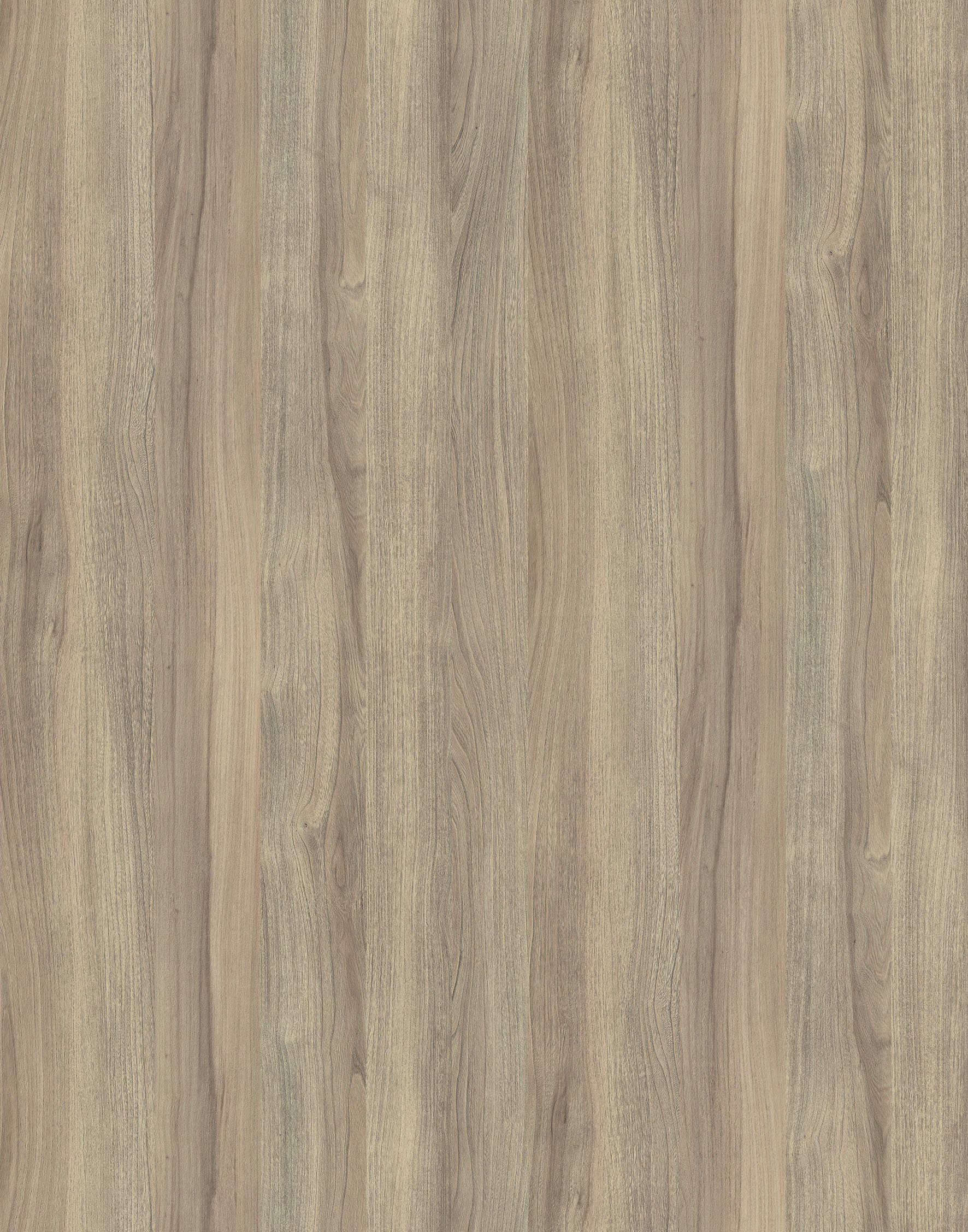 9005 MW BLONDE LIBERTY ELM.jpg